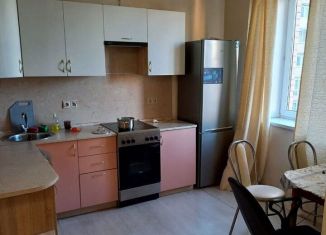 Сдается в аренду квартира студия, 32 м2, Котельники, Кузьминская улица, 17