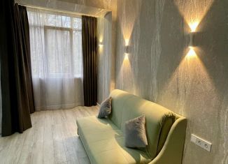 Продажа квартиры студии, 26 м2, село Орёл-Изумруд, улица Лазурная Долина, 85Б