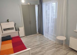 Продаю квартиру студию, 23.8 м2, Мурино, Охтинская аллея, 8, ЖК Мой Город