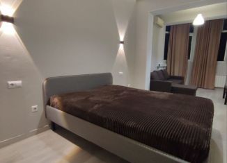 Сдаю в аренду квартиру студию, 56 м2, Сочи, Бамбуковая улица, 42А, микрорайон Новый Сочи