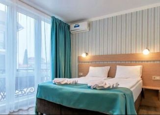 Продажа квартиры студии, 25 м2, посёлок городского типа Сириус, Народная улица, 13Б