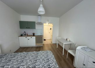 Сдам в аренду квартиру студию, 20 м2, Люберцы, улица Лётчика Ларюшина, 12, ЖК Жулебино Парк