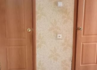 Продам 2-комнатную квартиру, 49.4 м2, деревня Елембаево, Центральная улица, 22