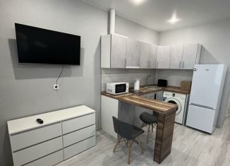 Сдам квартиру студию, 30 м2, Краснодар, микрорайон Достояние, улица им. Мурата Ахеджака, 10А