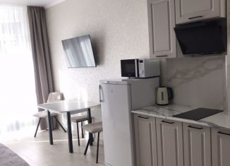 Квартира на продажу студия, 27 м2, Ольгинка, 3-й микрорайон, 21