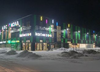 Сдаю помещение свободного назначения, 45 м2, Соликамск, Молодёжная улица, 26