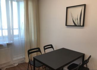 1-ком. квартира в аренду, 37 м2, Мурино, проспект Авиаторов Балтики, 7, ЖК Виктория