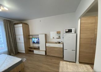 Сдача в аренду квартиры студии, 22 м2, Люберцы, улица Лётчика Ларюшина, 6, ЖК Жулебино Парк