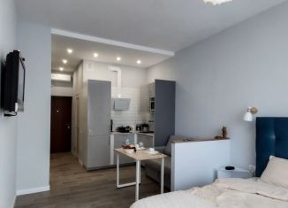 Сдам квартиру студию, 26 м2, Санкт-Петербург, Московский проспект, 183-185Ак7А, ЖК Граф Орлов