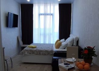 Сдается квартира студия, 25 м2, Сочи, Депутатская улица, 10Б/1, ЖК Метрополь