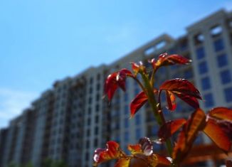 Продам помещение свободного назначения, 10 м2, Махачкала, улица Азиза Алиева, 18, Советский район