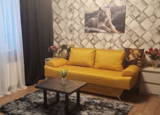 Квартира на продажу студия, 28.1 м2, Мурино, улица Шувалова, 40, ЖК Цвета радуги