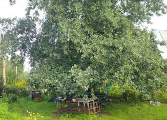 Продам дачу, 10 м2, Междуреченск, Линия 10/11, 21