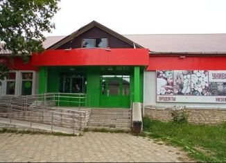 Сдача в аренду помещения свободного назначения, 100 м2, село Амзя, улица Кудрявцева, 11А