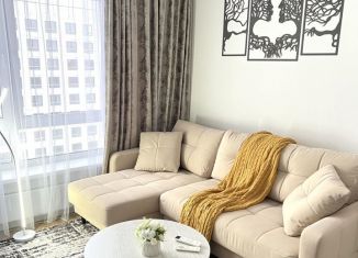 Сдам квартиру студию, 25 м2, Люберцы, улица Лётчика Ларюшина, 6, ЖК Жулебино Парк