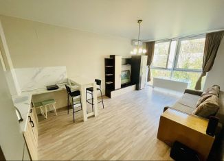 Сдаю в аренду квартиру студию, 29 м2, Сочи, Ломоносовская улица, 2Б, микрорайон Яна Фабрициуса