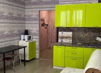 Сдам в аренду квартиру студию, 35 м2, Казань, Комсомольская улица, 2, Кировский район