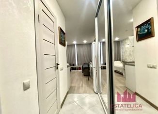 Продается квартира студия, 21 м2, рабочий посёлок Лопатино, Сухановская улица, 14, ЖК Государев Дом