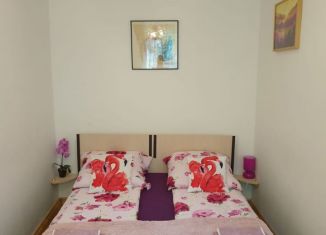 Сдается 2-ком. квартира, 45 м2, Калининград, улица Вагнера, 1