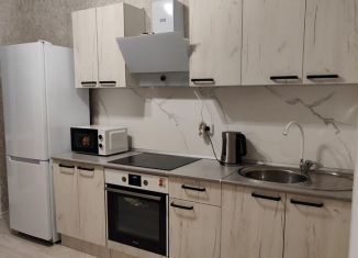 Аренда однокомнатной квартиры, 32.9 м2, Казань, улица Кул Гали, 29