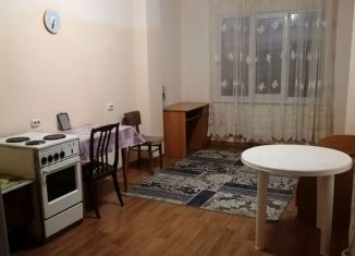 Сдаю в аренду квартиру студию, 31 м2, Алтайский край, Павловский тракт, 303