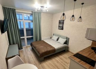 Сдается квартира студия, 21 м2, Пермский край, шоссе Космонавтов, 309Ак1