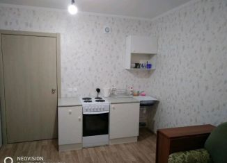 Продажа квартиры студии, 22.9 м2, Пермский край, улица Солдатова, 29В