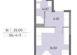 Продается квартира студия, 25 м2, Москва, метро Борисово