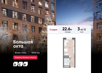 Продажа квартиры студии, 22.6 м2, Санкт-Петербург, муниципальный округ Большая Охта