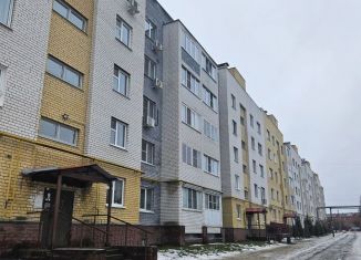 Трехкомнатная квартира в аренду, 78.7 м2, сельский посёлок Ждановский, Школьная улица, 54