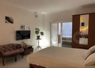 1-комнатная квартира в аренду, 42 м2, Сочи, Курортный проспект, 78А, микрорайон Яна Фабрициуса