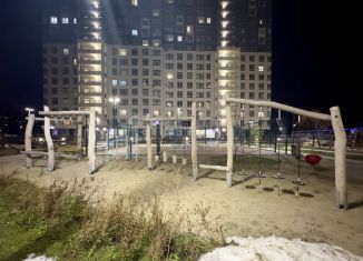 Продаю квартиру студию, 20.3 м2, деревня Дударева, улица Сергея Джанбровского, 1