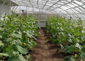 Продам дом, 1000 м2, посёлок городского типа Шерловая Гора, улица Дружба