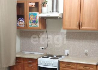 Сдаю в аренду квартиру студию, 25 м2, Пермь, ЖК Арсенал, улица Александра Турчевича, 8