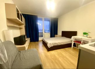 Сдаю в аренду квартиру студию, 25.5 м2, Санкт-Петербург, Лабораторный проспект, 20к3, Калининский район