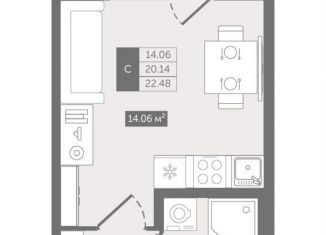 Квартира на продажу студия, 22.5 м2, деревня Новое Девяткино