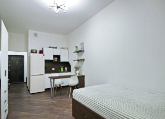 Продам квартиру студию, 25.8 м2, Санкт-Петербург, улица Александра Матросова, метро Лесная