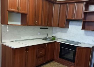 Аренда однокомнатной квартиры, 43 м2, Санкт-Петербург, улица Латышских Стрелков, 15к3, ЖК Ладожский Парк