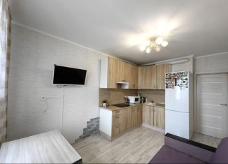 Сдача в аренду 2-комнатной квартиры, 57.2 м2, Мурино, проспект Авиаторов Балтики, 7, ЖК Виктория