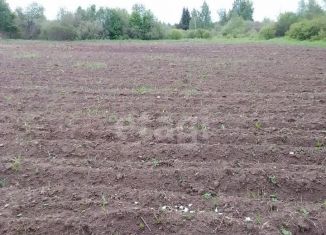 Продажа земельного участка, 76 сот., деревня Шики