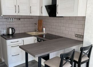 Сдается квартира студия, 25 м2, Мурино, улица Шоссе в Лаврики, 63, ЖК Муринское-1