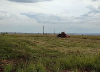 Продается земельный участок, 12 сот., село Нижнее Афанасово