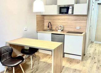 Продажа квартиры студии, 19.5 м2, посёлок Парголово, Толубеевский проезд, 8к2