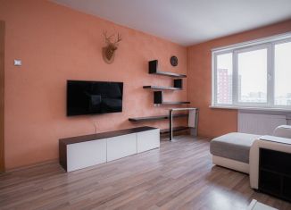 1-ком. квартира на продажу, 39.5 м2, Санкт-Петербург, Афанасьевская улица, 6к1, Афанасьевская улица