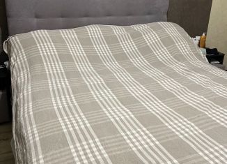 Сдача в аренду 1-ком. квартиры, 32 м2, Мурино, проспект Авиаторов Балтики, 5, ЖК Виктория