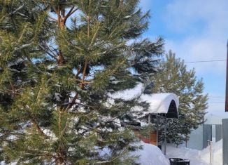 Сдаю дом, 160 м2, Чебоксары, Гремячевский проезд