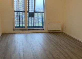 Сдается в аренду квартира студия, 27.6 м2, поселок Бугры, Тихая улица, 3к2, ЖК Новые Горизонты