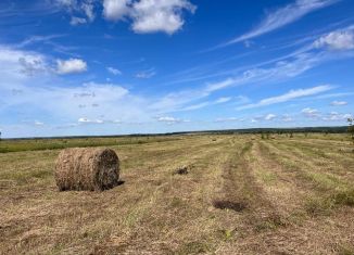 Продаю участок, 100 сот., село Петропавлово