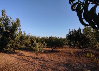 Продаю участок, 15 сот., село Золотое Поле, улица Некрасова, 50