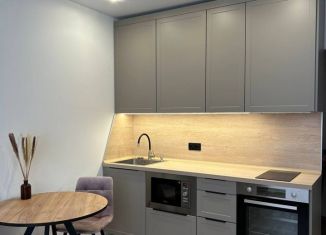 Сдаю квартиру студию, 23.3 м2, Люберцы, улица Лётчика Ларюшина, 6, ЖК Жулебино Парк